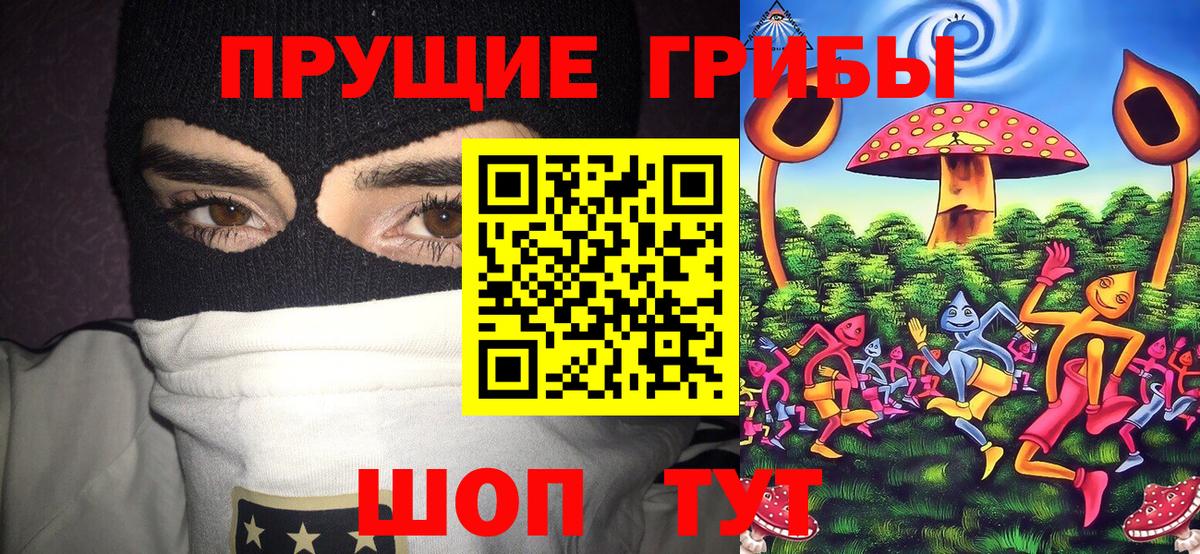 Тобольск  Галлюциногенные грибы мицелий  Вход с VPN 